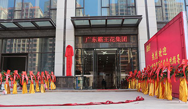 霸王花集團迎來大好日子，八姑、369、列有銀明星助陣