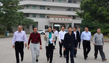 副市長朱蔚蔚蒞臨霸王花食品公司檢查指導(dǎo)工作