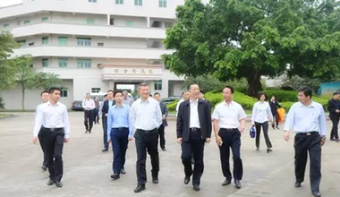 廣東省農(nóng)業(yè)廳廳長鄭偉儀率隊蒞臨霸王花食品公司檢查指導(dǎo)工作