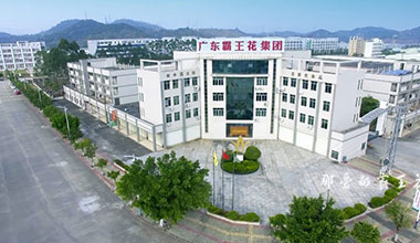 霸王花集團(tuán)宣傳片