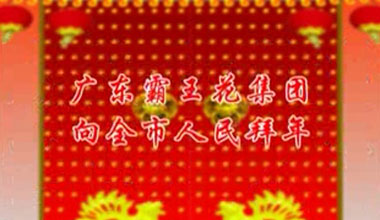 霸王花集團(tuán)?2012賀年2