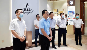 河源市副市長劉東豪到廣東霸王花集團(tuán)調(diào)研