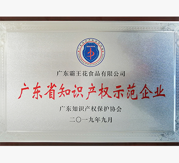 廣東省知識產權示范企業