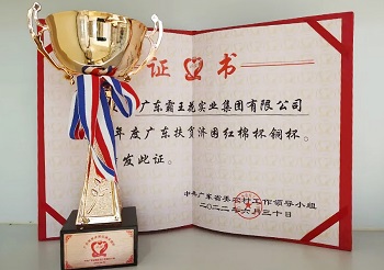 用愛心澆灌“鄉村振興”至美之花——廣東霸王花集團再次被授予廣東扶貧濟困“紅棉杯”銅杯榮譽