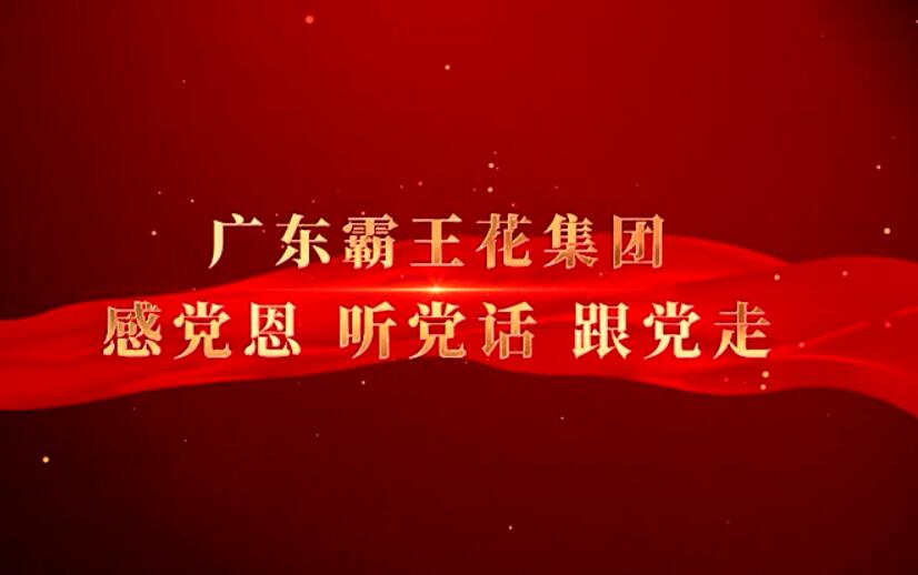 廣東霸王花集團(tuán)黨委宣傳片